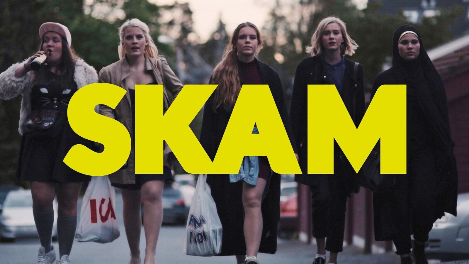 skam-1484264965